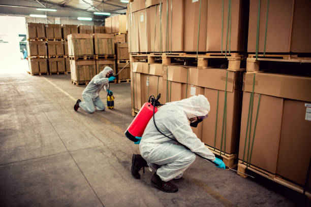 Reliable Bozeman, MT Pest Control Solutions