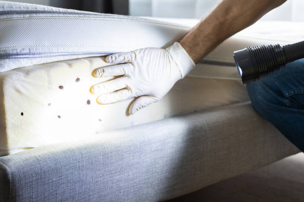 Best Mosquito Control Services  in Bozeman, MT