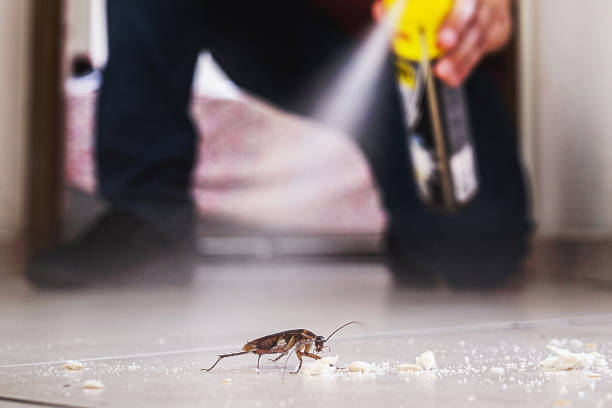Best Termite Control Services  in Bozeman, MT