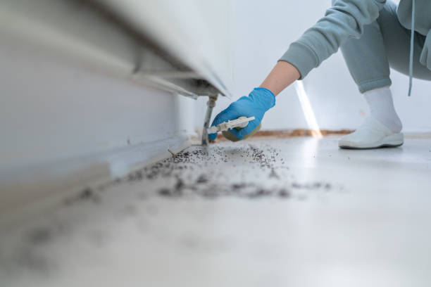 Pest Prevention Services in Bozeman, MT